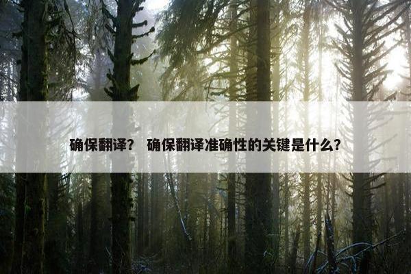 确保翻译？ 确保翻译准确性的关键是什么？