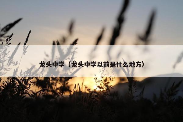 龙头中学（龙头中学以前是什么地方）