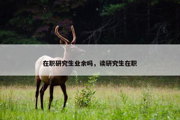 在职研究生业余吗，读研究生在职