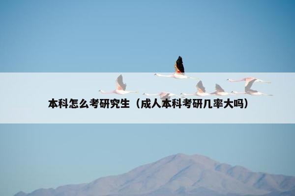 本科怎么考研究生（成人本科考研几率大吗）