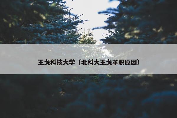 王戈科技大学（北科大王戈革职原因）