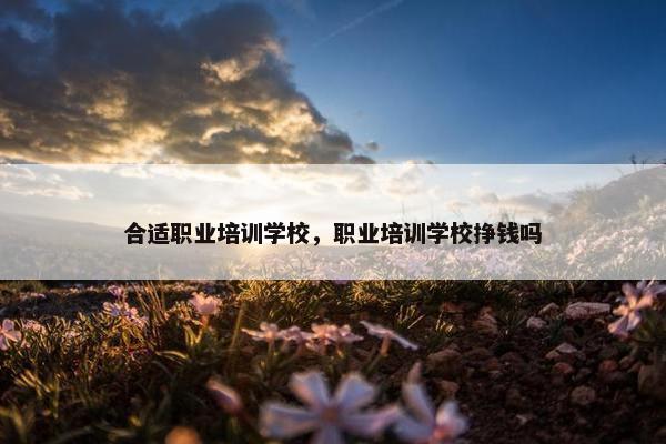 合适职业培训学校，职业培训学校挣钱吗
