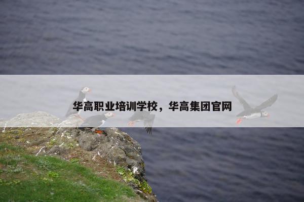 华高职业培训学校，华高集团官网