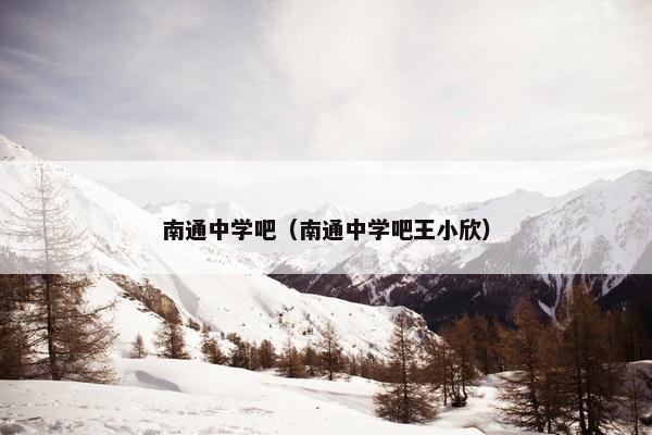 南通中学吧（南通中学吧王小欣）