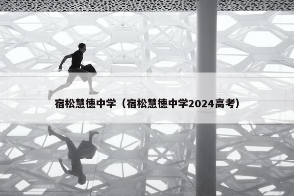 宿松慧德中学（宿松慧德中学2024高考）