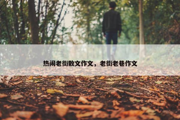 热闹老街散文作文，老街老巷作文