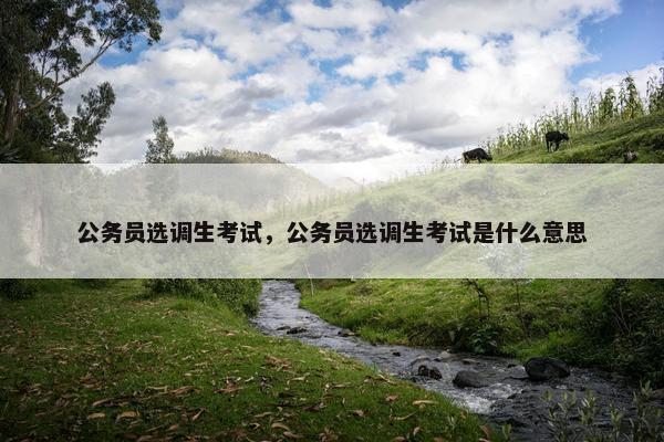 公务员选调生考试，公务员选调生考试是什么意思