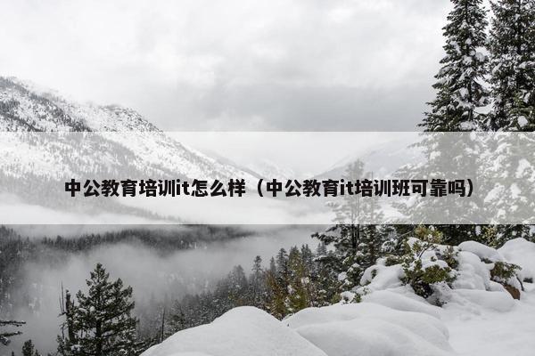 中公教育培训it怎么样（中公教育it培训班可靠吗）