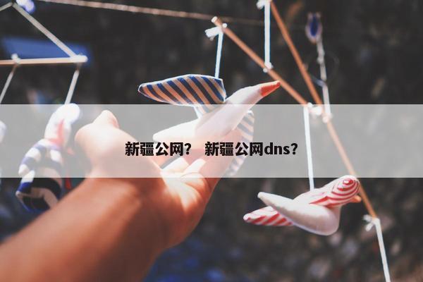 新疆公网？ 新疆公网dns？