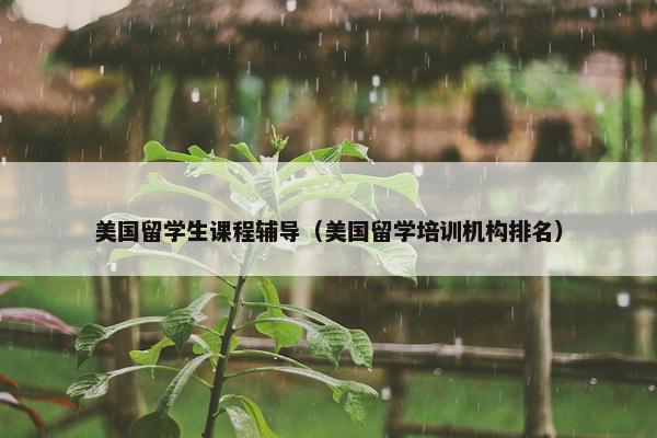 美国留学生课程辅导（美国留学培训机构排名）