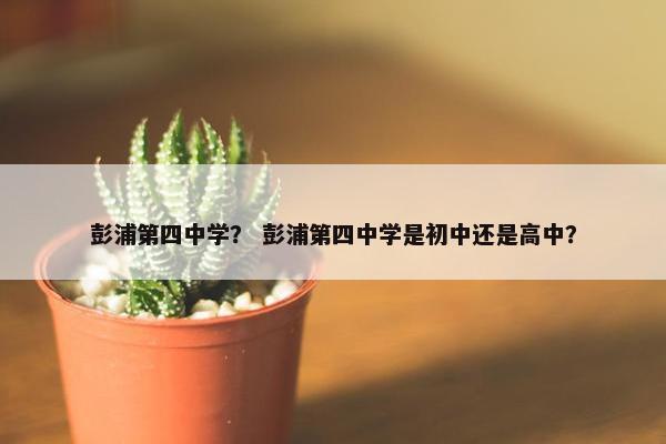 彭浦第四中学？ 彭浦第四中学是初中还是高中？