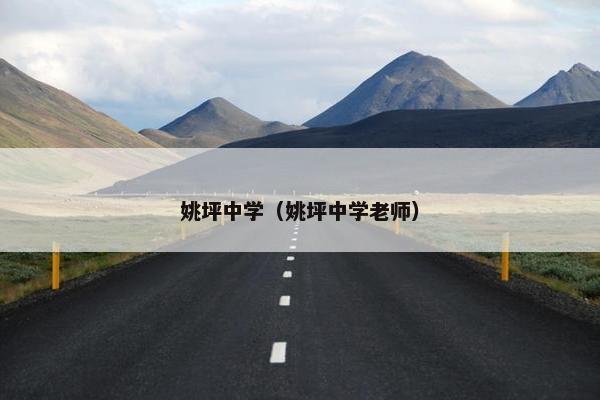 姚坪中学（姚坪中学老师）