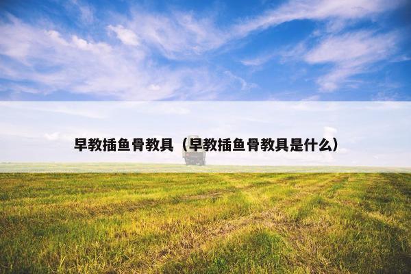 早教插鱼骨教具（早教插鱼骨教具是什么）