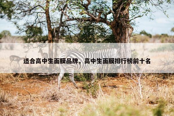 适合高中生面膜品牌，高中生面膜排行榜前十名