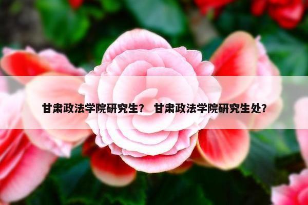 甘肃政法学院研究生？ 甘肃政法学院研究生处？