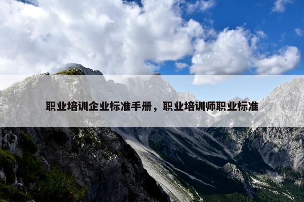 职业培训企业标准手册，职业培训师职业标准