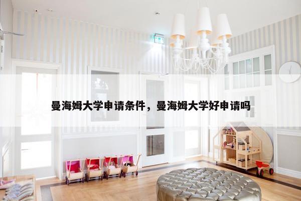 曼海姆大学申请条件，曼海姆大学好申请吗