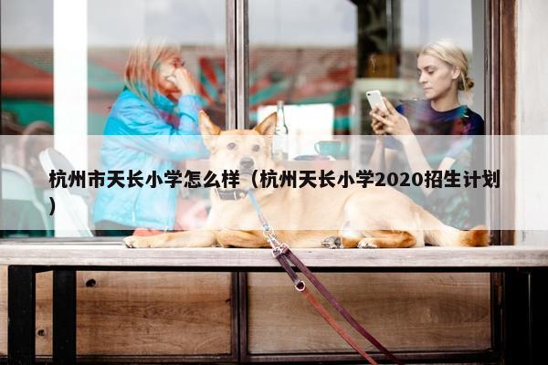 杭州市天长小学怎么样（杭州天长小学2020招生计划）