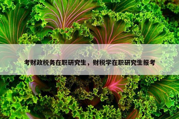 考财政税务在职研究生，财税学在职研究生报考