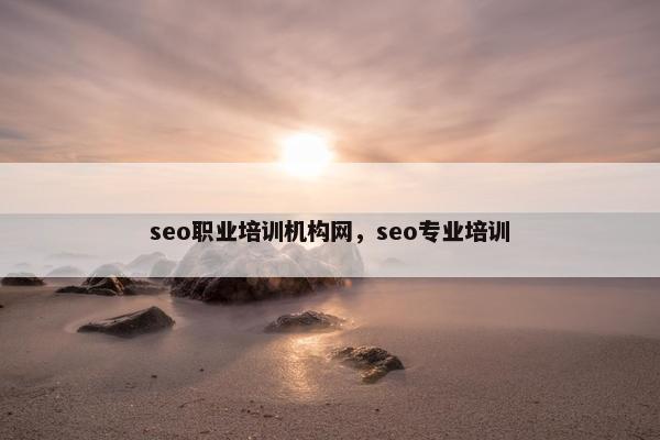 seo职业培训机构网，seo专业培训