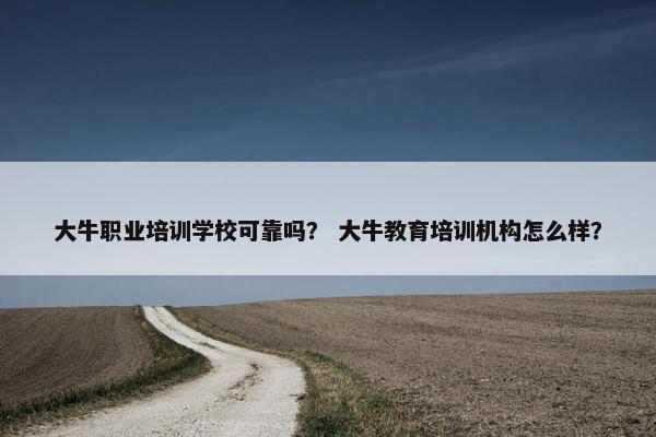 大牛职业培训学校可靠吗？ 大牛教育培训机构怎么样？