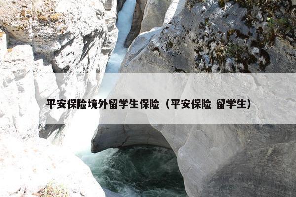平安保险境外留学生保险（平安保险 留学生）