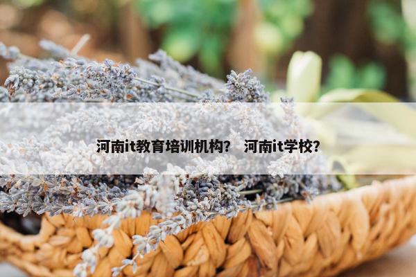 河南it教育培训机构？ 河南it学校？
