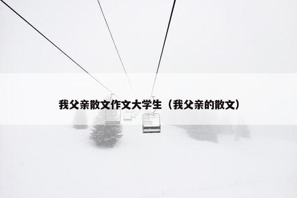 我父亲散文作文大学生（我父亲的散文）