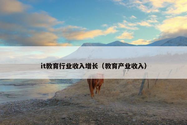 it教育行业收入增长（教育产业收入）