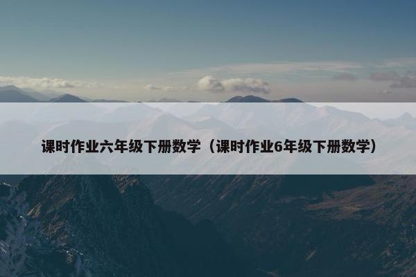 课时作业六年级下册数学（课时作业6年级下册数学）