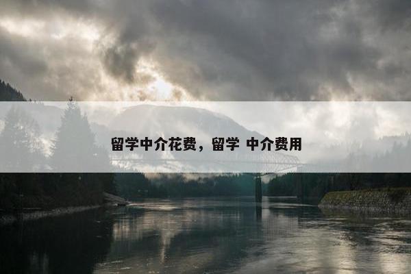 留学中介花费，留学 中介费用