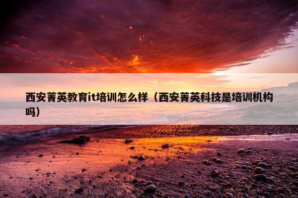 西安菁英教育it培训怎么样（西安菁英科技是培训机构吗）