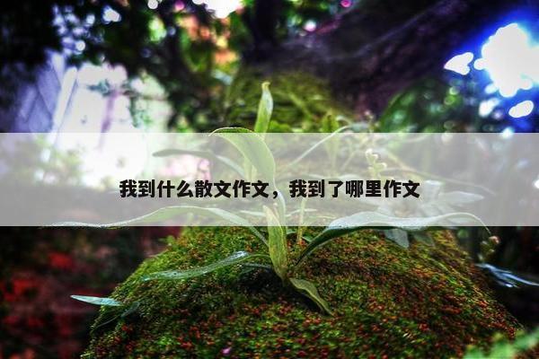 我到什么散文作文，我到了哪里作文