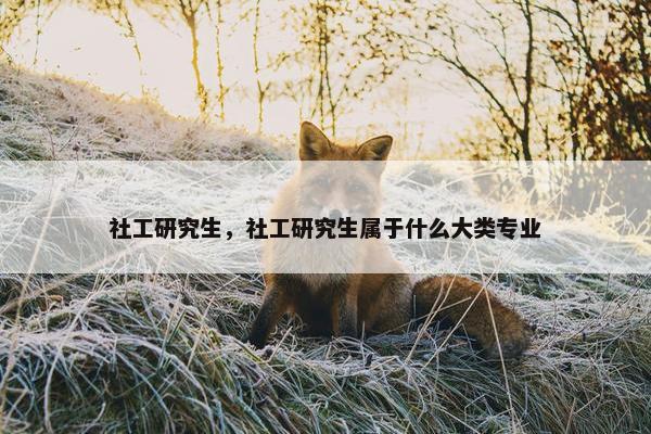 社工研究生，社工研究生属于什么大类专业