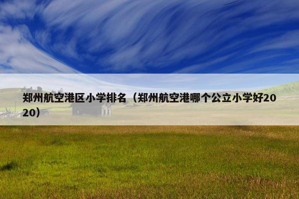 郑州航空港区小学排名（郑州航空港哪个公立小学好2020）