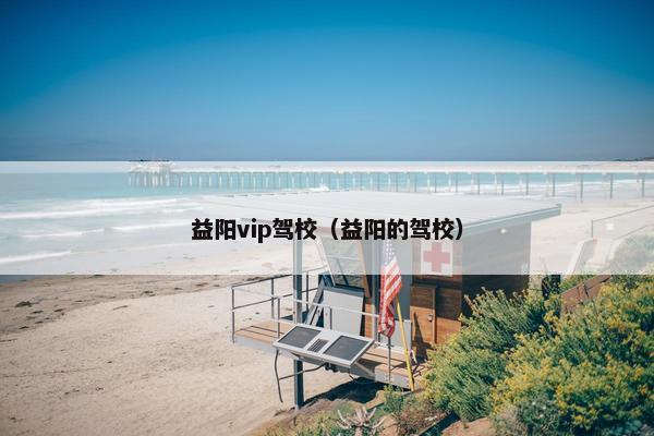 益阳vip驾校（益阳的驾校）