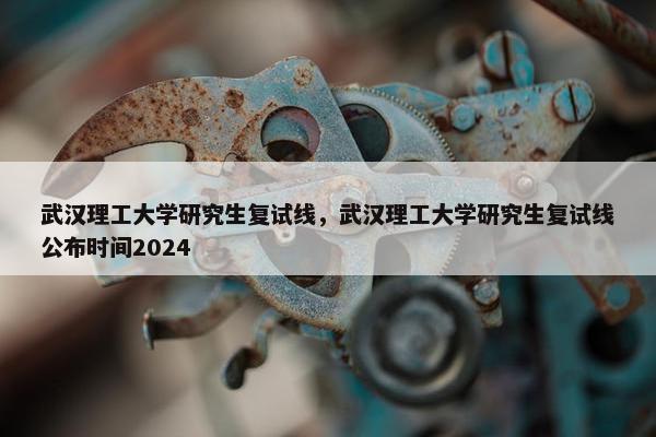 武汉理工大学研究生复试线，武汉理工大学研究生复试线公布时间2024