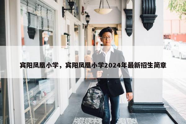 宾阳凤凰小学，宾阳凤凰小学2024年最新招生简章