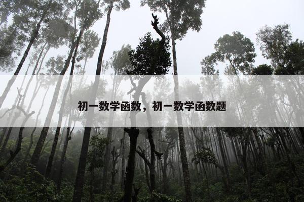 初一数学函数，初一数学函数题