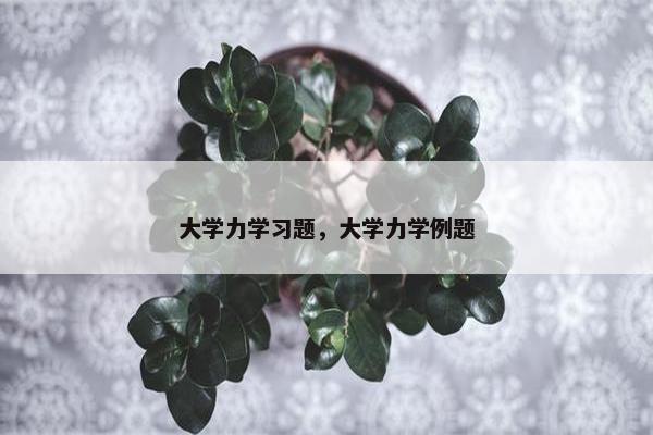 大学力学习题，大学力学例题
