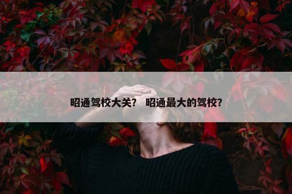 昭通驾校大关？ 昭通最大的驾校？