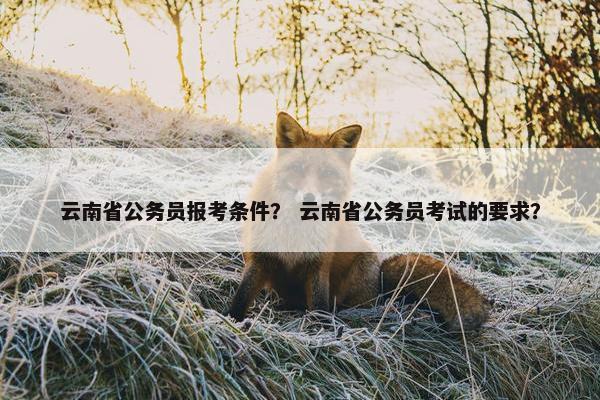 云南省公务员报考条件？ 云南省公务员考试的要求？