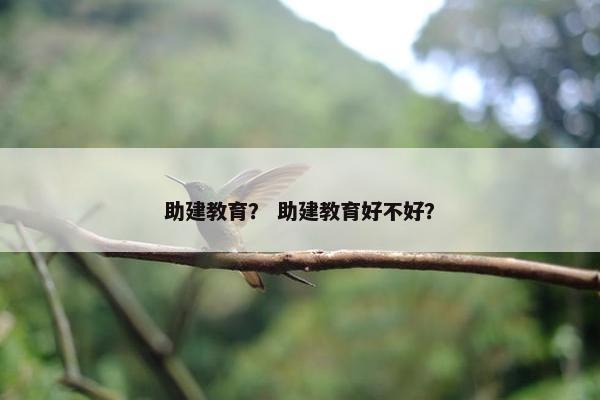 助建教育？ 助建教育好不好？