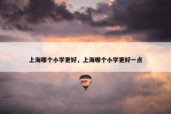上海哪个小学更好，上海哪个小学更好一点