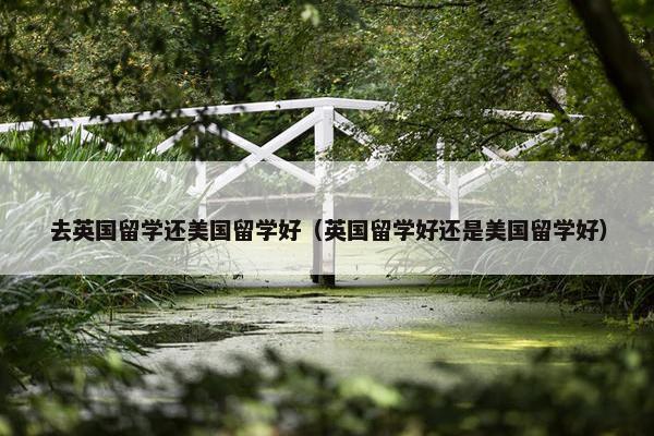 去英国留学还美国留学好（英国留学好还是美国留学好）
