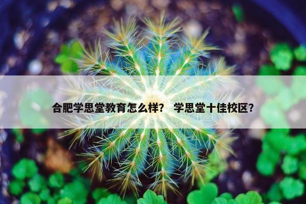 合肥学思堂教育怎么样？ 学思堂十佳校区？