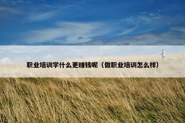 职业培训学什么更赚钱呢（做职业培训怎么样）