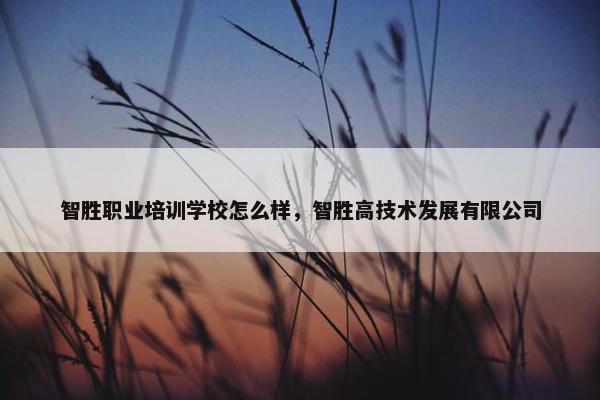 智胜职业培训学校怎么样，智胜高技术发展有限公司