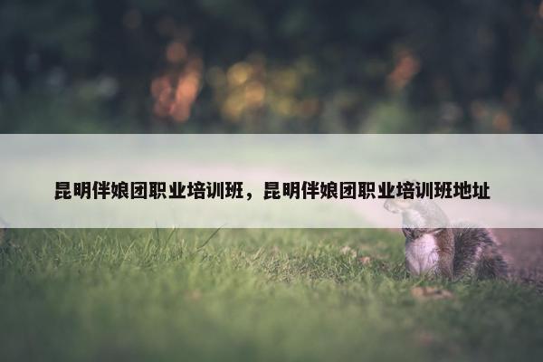 昆明伴娘团职业培训班，昆明伴娘团职业培训班地址