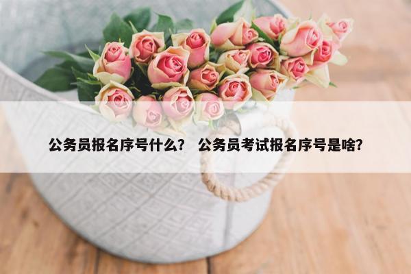 公务员报名序号什么？ 公务员考试报名序号是啥？